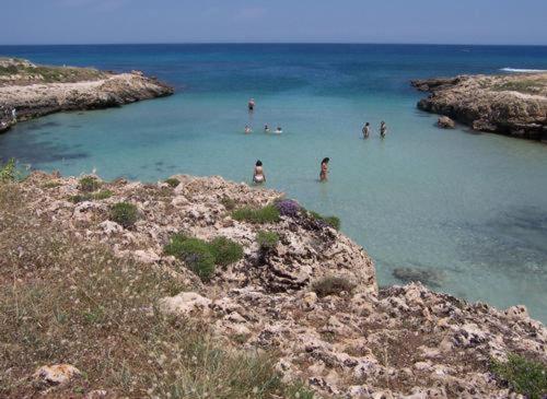 Apartment Pietra & Mare Ostuni *